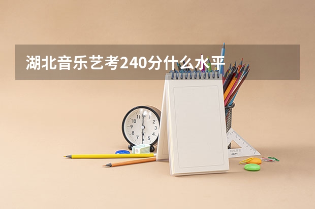 湖北音乐艺考240分什么水平