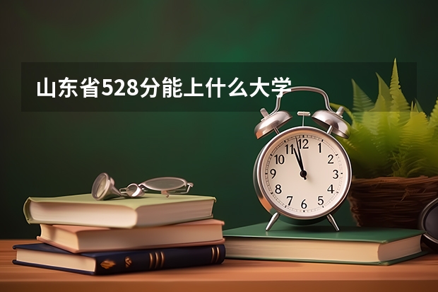山东省528分能上什么大学