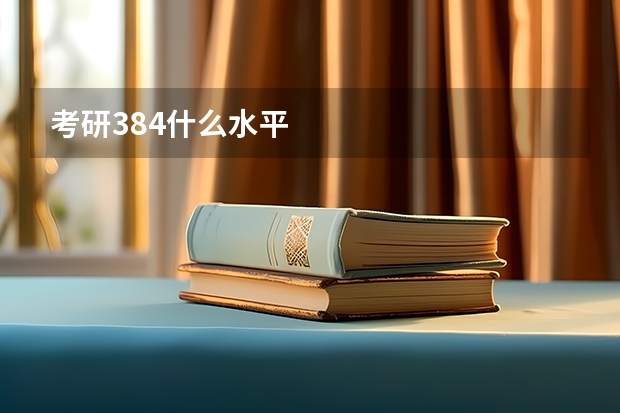 考研384什么水平