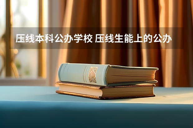 压线本科公办学校 压线生能上的公办二本学校 二本线最低的公办大学