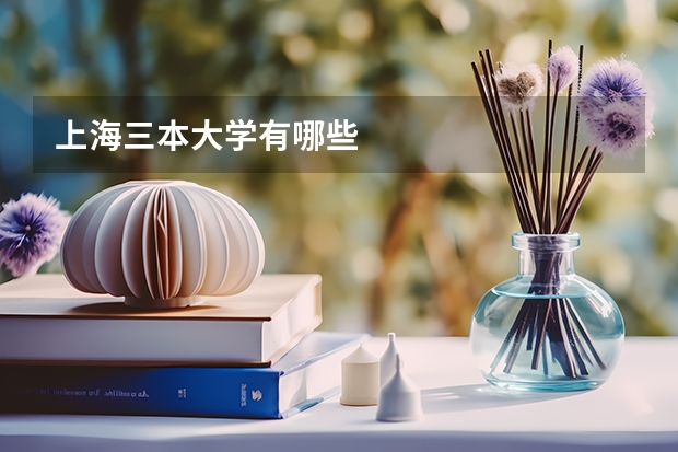 上海三本大学有哪些