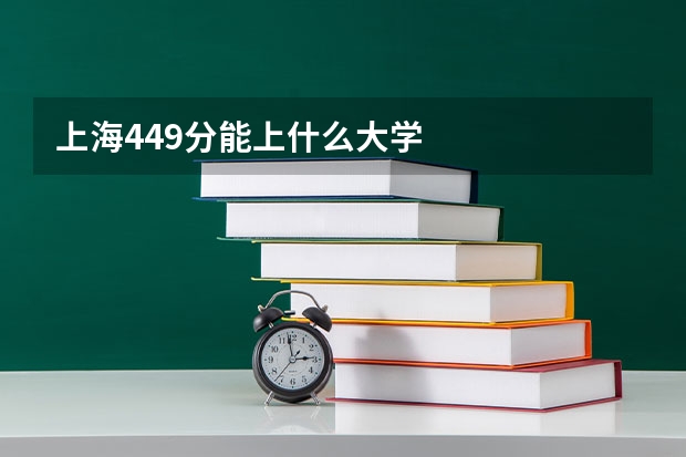 上海449分能上什么大学