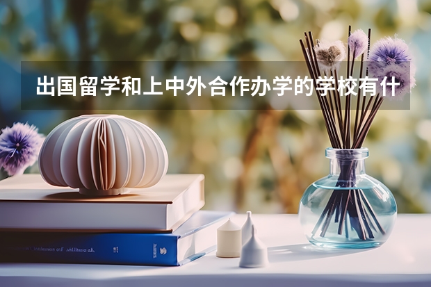 出国留学和上中外合作办学的学校有什么区别