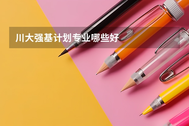 川大强基计划专业哪些好