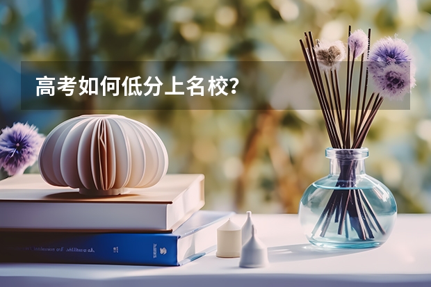 高考如何低分上名校?