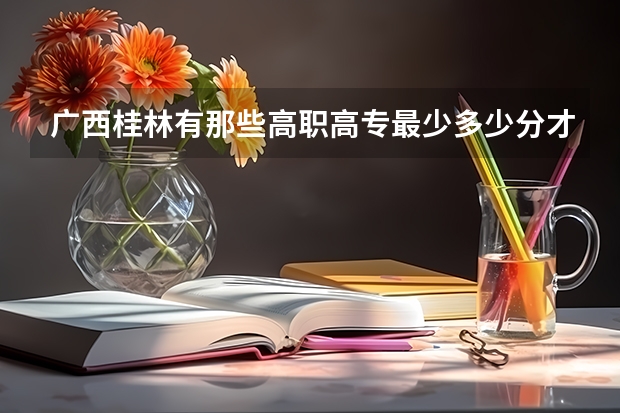 广西桂林有那些高职高专最少多少分才能录取