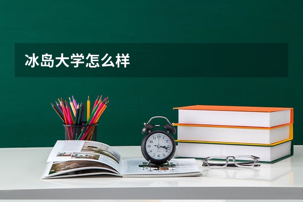 冰岛大学怎么样