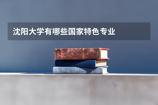 沈阳大学有哪些国家特色专业