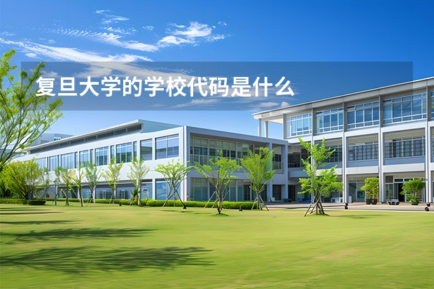 复旦大学的学校代码是什么
