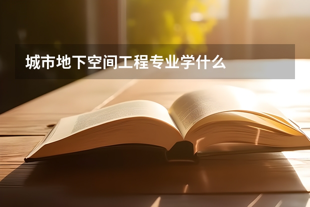 城市地下空间工程专业学什么
