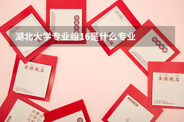 湖北大学专业组16是什么专业