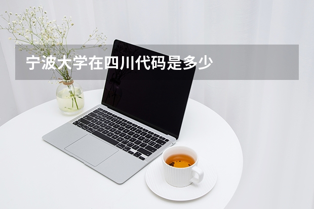 宁波大学在四川代码是多少