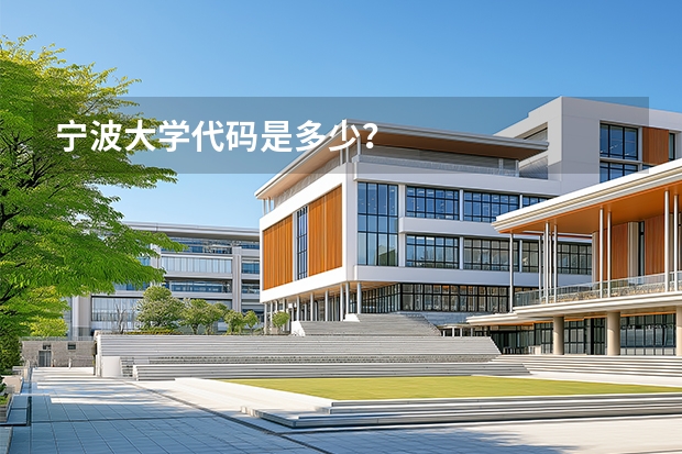 宁波大学代码是多少？