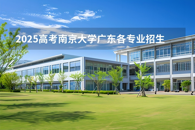 2025高考南京大学广东各专业招生人数（2026参考）