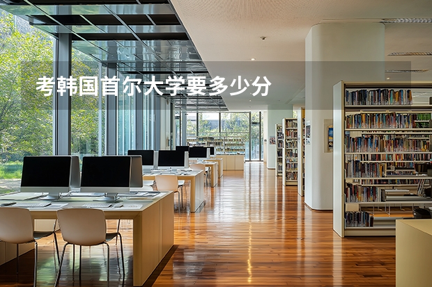 考韩国首尔大学要多少分