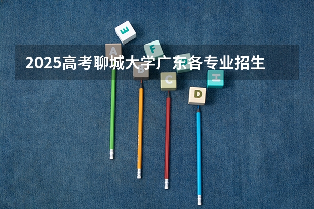 2025高考聊城大学广东各专业招生人数（2026参考）