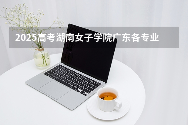 2025高考湖南女子学院广东各专业招生人数（2026参考）