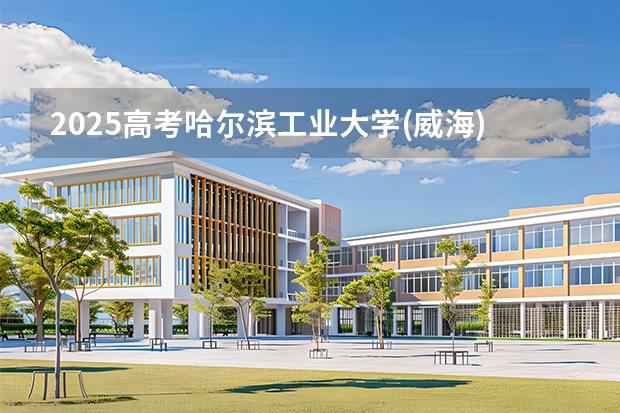 2025高考哈尔滨工业大学(威海)江苏各专业招生人数（2026参考）