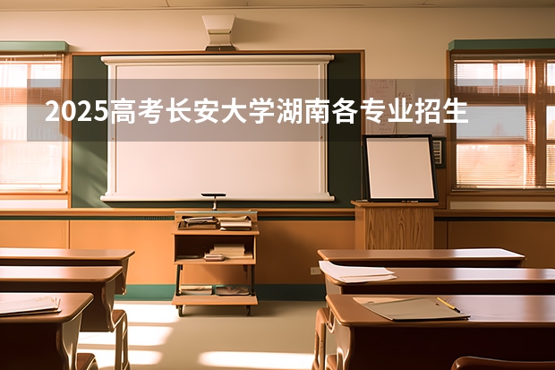 2025高考长安大学湖南各专业招生人数（2026参考）