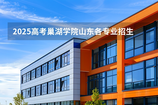 2025高考巢湖学院山东各专业招生人数（2026参考）
