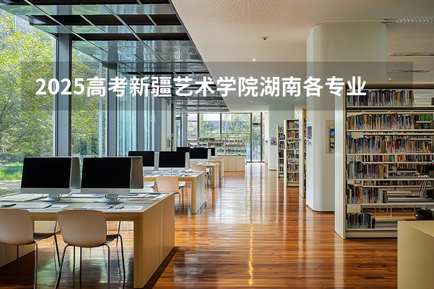 2025高考新疆艺术学院湖南各专业招生人数（2026参考）