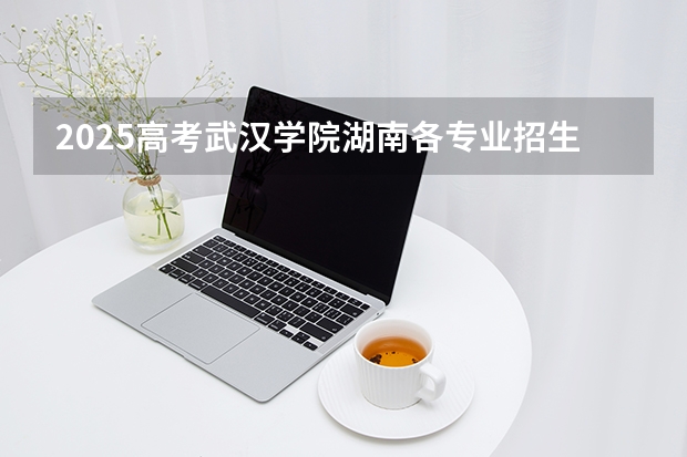 2025高考武汉学院湖南各专业招生人数（2026参考）
