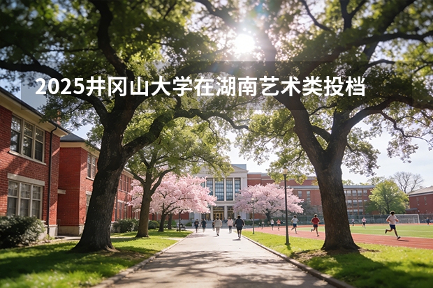 2025井冈山大学在湖南艺术类投档分数线（2026年参考）