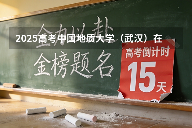 2025高考中国地质大学（武汉）在甘肃各批次选科要求介绍（2026参考） 