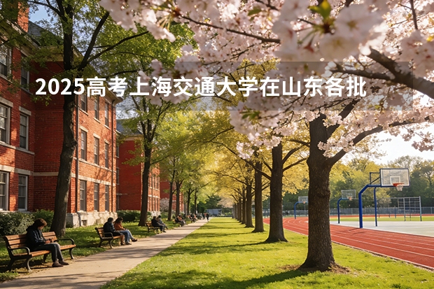 2025高考上海交通大学在山东各批次选科要求介绍（2026参考） 