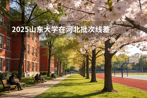 2025山东大学在河北批次线差