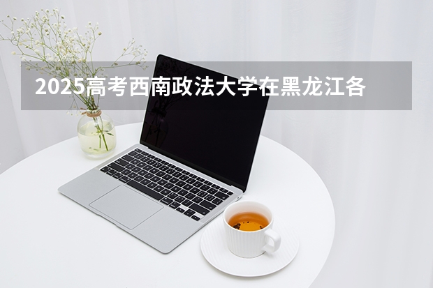 2025高考西南政法大学在黑龙江各批次选科要求介绍（2026参考） 