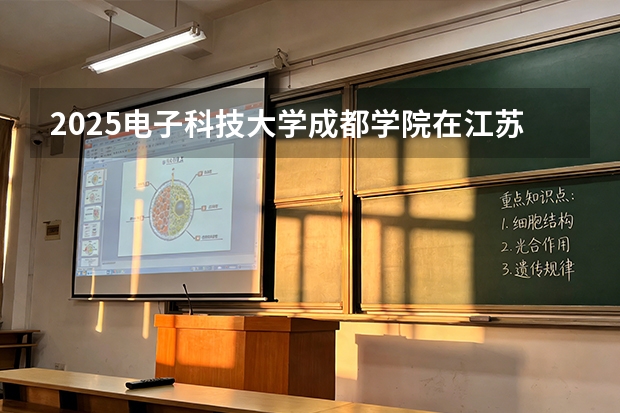 2025电子科技大学成都学院在江苏艺术类投档分数线（2026年参考）