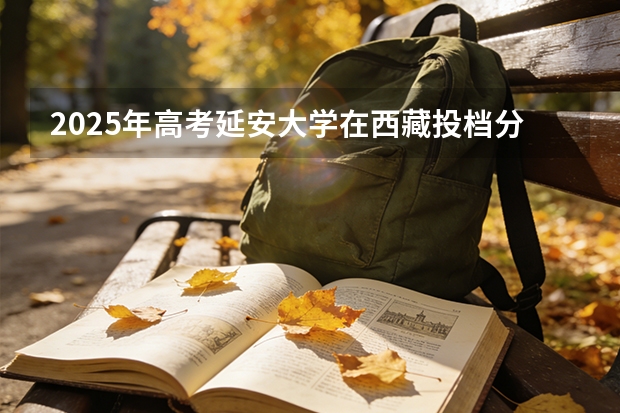 2025年高考延安大学在西藏投档分数线（2026参考）