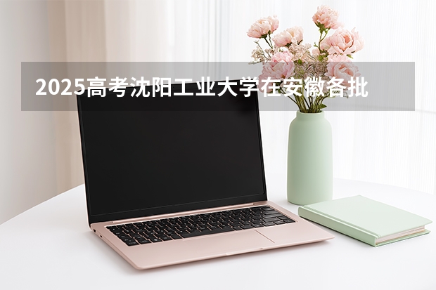 2025高考沈阳工业大学在安徽各批次选科要求介绍（2026参考） 