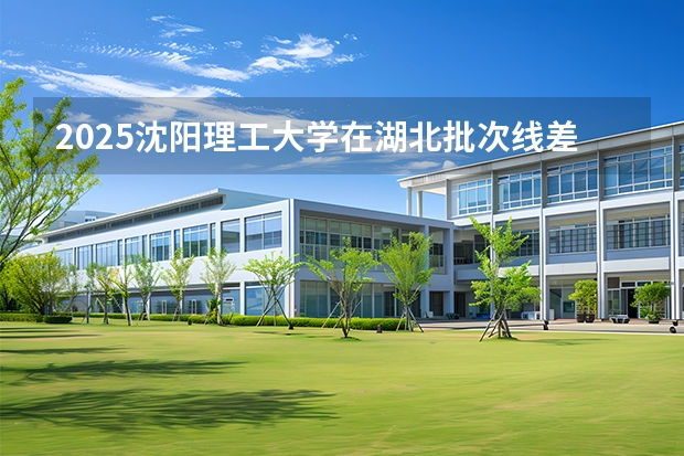 2025沈阳理工大学在湖北批次线差