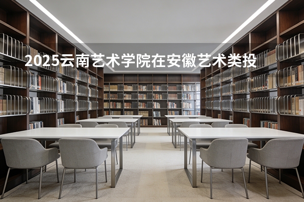 2025云南艺术学院在安徽艺术类投档分数线（2026年参考）