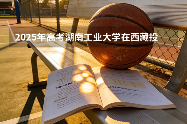 2025年高考湖南工业大学在西藏投档分数线（2026参考）