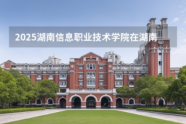 2025湖南信息职业技术学院在湖南艺术类投档分数线（2026年参考）