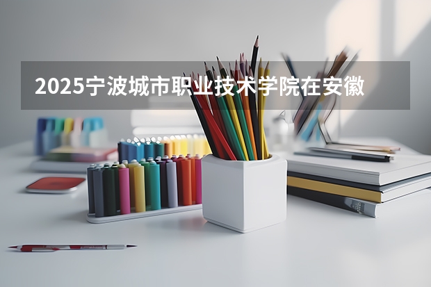 2025宁波城市职业技术学院在安徽艺术类投档分数线（2026年参考）