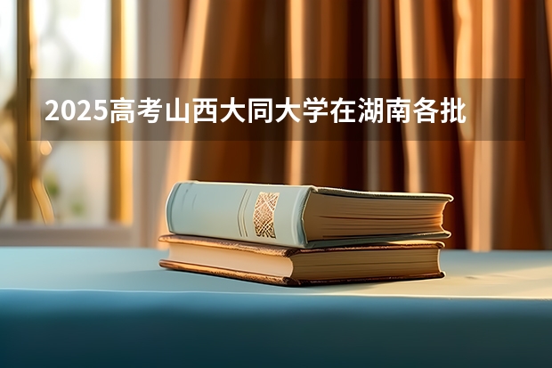 2025高考山西大同大学在湖南各批次选科要求介绍（2026参考） 