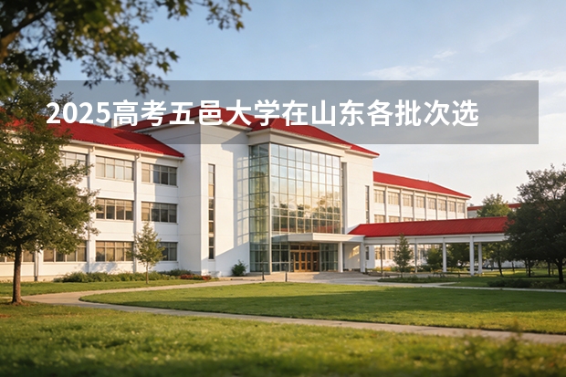 2025高考五邑大学在山东各批次选科要求介绍（2026参考） 