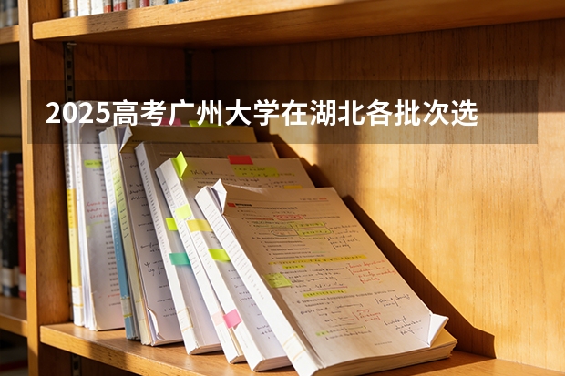 2025高考广州大学在湖北各批次选科要求介绍（2026参考） 