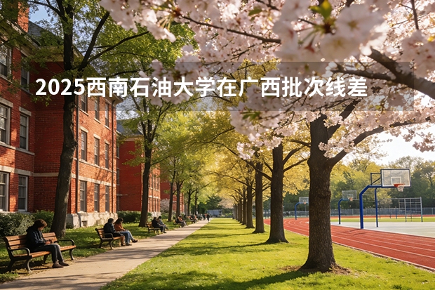 2025西南石油大学在广西批次线差