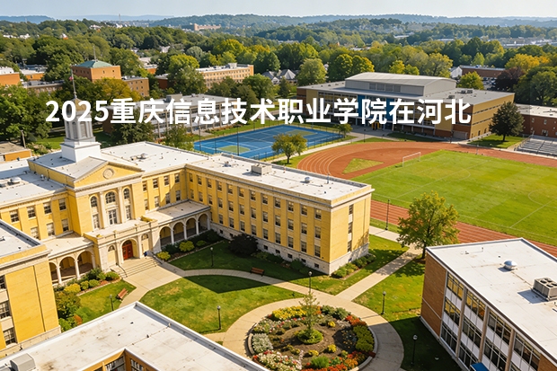 2025重庆信息技术职业学院在河北艺术类投档分数线（2026年参考）