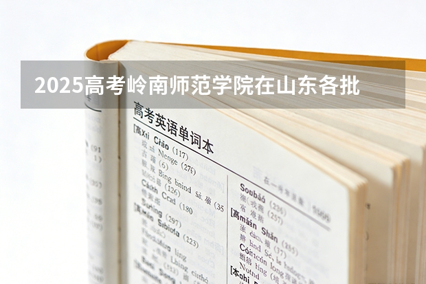 2025高考岭南师范学院在山东各批次选科要求介绍（2026参考） 
