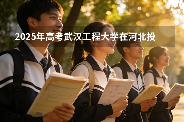 2025年高考武汉工程大学在河北投档分数线（2026参考）