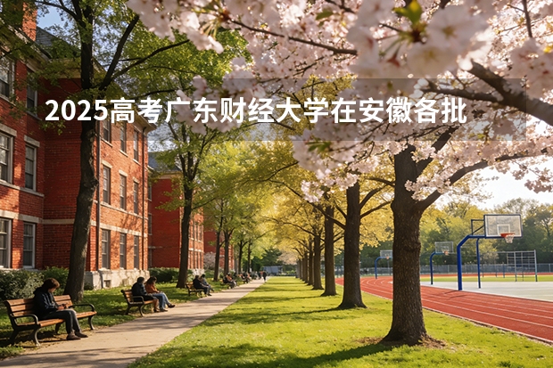 2025高考广东财经大学在安徽各批次选科要求介绍（2026参考） 
