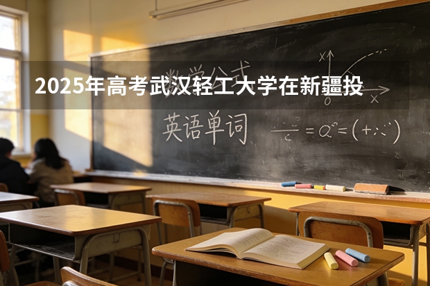 2025年高考武汉轻工大学在新疆投档分数线（2026参考）