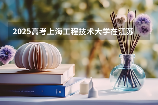 2025高考上海工程技术大学在江苏各批次选科要求介绍（2026参考） 