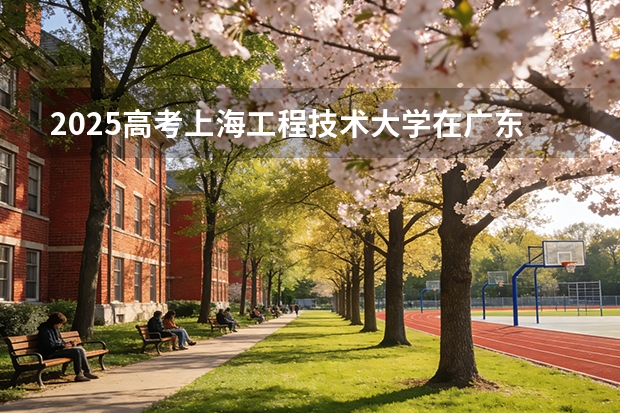 2025高考上海工程技术大学在广东各批次选科要求介绍（2026参考） 